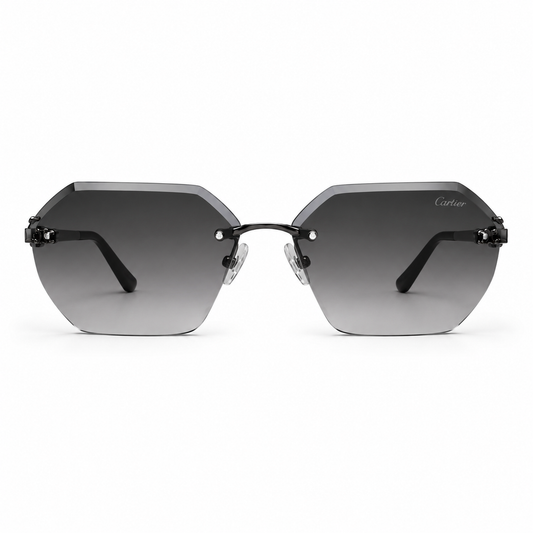 CELINE - Square Sunglasses