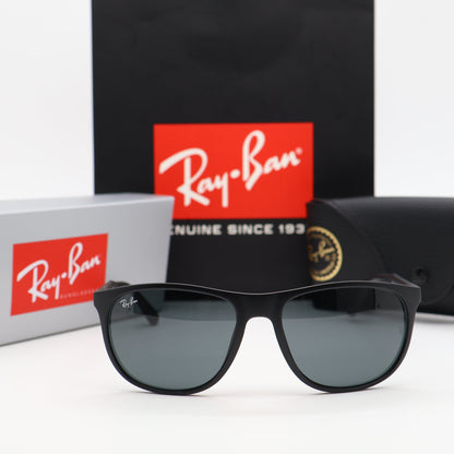 Ray-Ban - RB4291 Size: 58